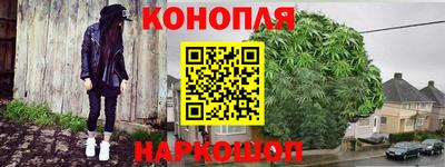 сатива Можайск