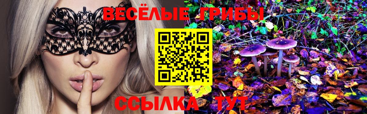 закладки  Галлюциногенные грибы мицелий  Вход с VPN  Сухой Лог  Галлюциногенные грибы ЛСД 